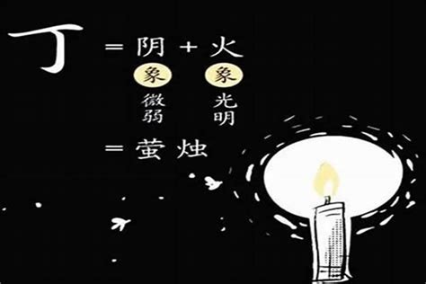 甲木丁火|「丁火」离不开甲与庚，细说春夏「丁火」的气数，气数方能定喜。